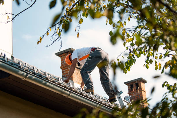 Best Roof Maintenance  in Virginia, IL