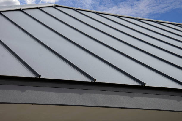 Best Hot Roofs  in Virginia, IL