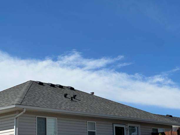 Best Tile Roofing Installation  in Virginia, IL